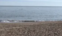 2 Family House Steps from Beach; 2 Master Bedrooms; Beach and Bike Equipment too - 무료 와이파이