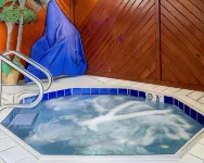 Econo Lodge - baignoire