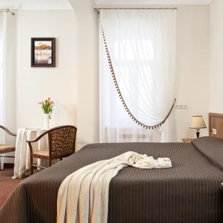 Clever Hotel Hotels in Klin