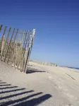 Ocean Bay Park Sanctuary - 무료 와이파이