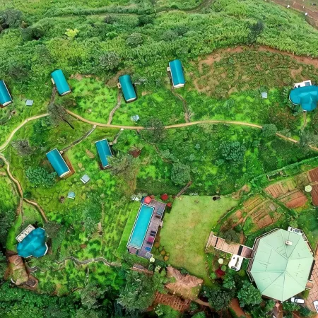 Madulkelle Tea and Eco Lodge