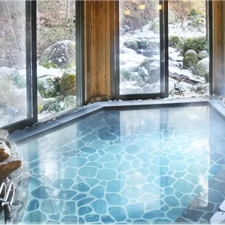 Komagane Kogen Resort Linx