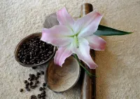 Montis Hotel & Spa - Spa
