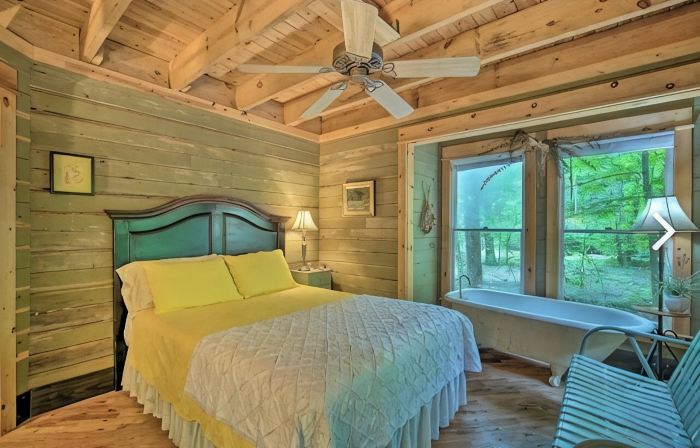 Falls View Cabin at Dennis Mill on designated trout stream.