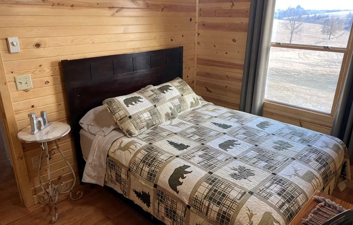 Cozy Newly Built Cabin with Scenic Views