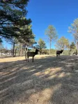 New! Whispering Bluff Luxury Retreat~ Beautiful Sierra Blanca Views - 4-Star