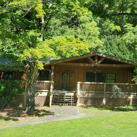 Lakeview Lounge. 3 bedroom cabin surrounded by national forest.