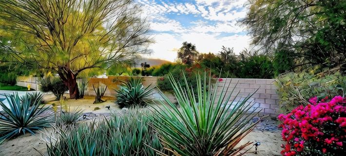 The Jungalow: Luxe Jungle Vibes Meet Modern Desert Living w/ Lagoon Style Pool Hotels in Indio