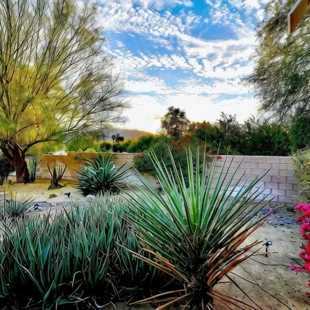 The Jungalow: Luxe Jungle Vibes Meet Modern Desert Living w/ Lagoon Style Pool