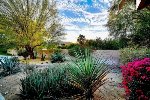 The Jungalow: Luxe Jungle Vibes Meet Modern Desert Living w/ Lagoon Style Pool - Pool