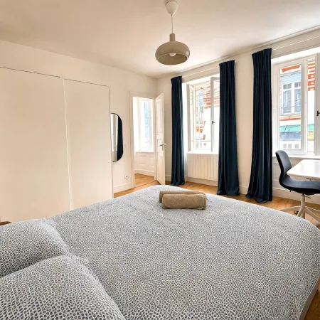Renovated flat in the heart of Strasbourg
