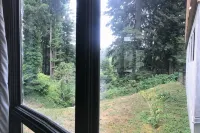 Concrete Loft in the Redwoods - Bungalows