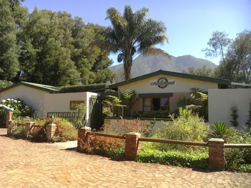 Andelomi Forest Lodge - Wifi