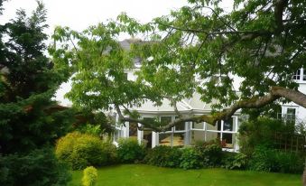 White Cottage Bed and Breakfast - Housity