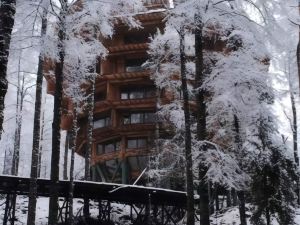 Montaña Mágica Lodge