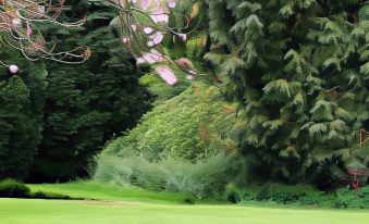 a lush green golf course surrounded by trees , with a pink flower in the foreground at Hillbrow Farm B&B