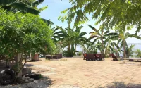 Sabai Sabai