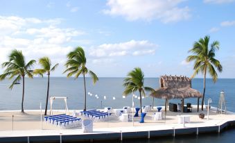 a white pier with blue and white striped chairs , umbrellas , and palm trees overlooking the ocean at Reefhouse Resort and Marina