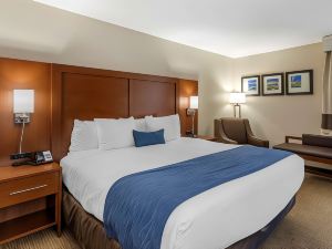 Comfort Inn Nashville – Opryland Area