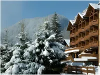 Carlina Hotels in Le Grand-Bornand