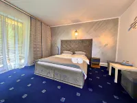 Top Mountain Hotels in Rosenau