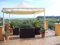 Palmed Hotel - Beach