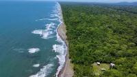 Carey Lodging Hotels in Tortuguero