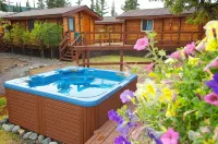 Denali Cabins Hotels in McKinley Park