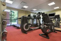 Hyatt Place Baltimore Owings Mills - gimnasio