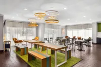 Spark by Hilton Pearland