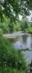 Mountain Retreat in Blue Ridge Mountains. Privacy!  Owner Managed.
