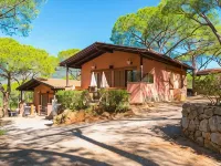 卡寧拉科納松樹營地 卡波利韋裡住宿飯店