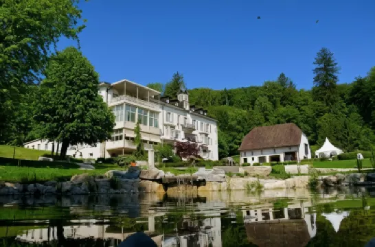 巴德舒恩伯格酒店 酒店