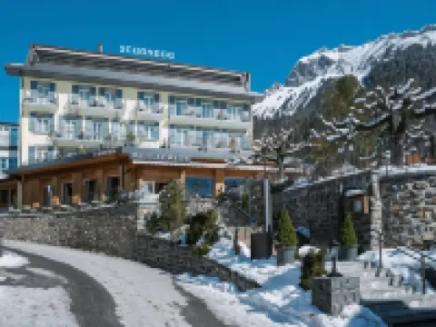 Hotel Schönegg Hotels in Wengen