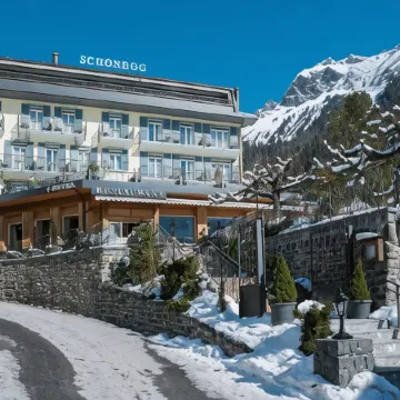 Hotel Schönegg