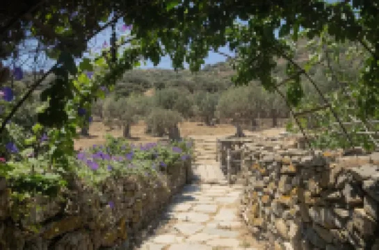 Under the Linden Tree Tinos