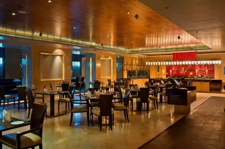 Radisson Blu Marina Hotel Connaught Place Отели рядом со станцией Rajiv Chowk