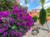 Enjoy the Ocean View and take a stroll on the Stunning Private Beach