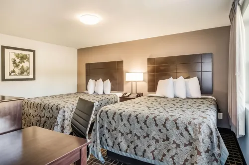 Rodeway Inn Middleboro-Plymouth
