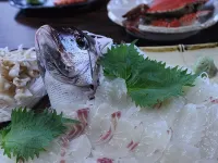 Himakajima Minshuku Kotoei Hoteles en Minamichita