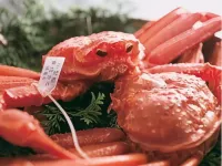 Kasumi Four-Seasons Inn - Kaku 가미 정 호텔