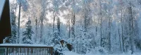 Meandering Moose Lodging