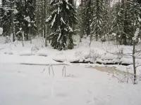 Puikkokoski Hotels in Paltamo