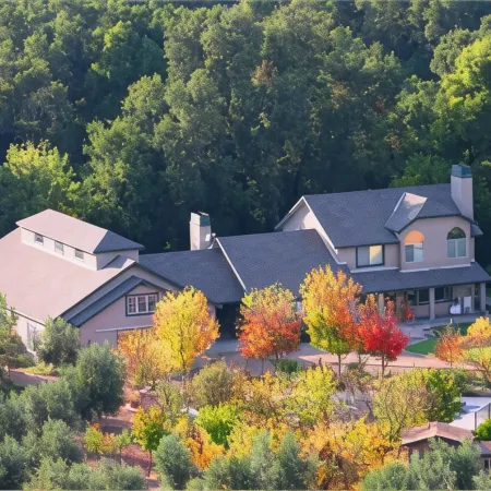 The Eden House Vineyard
