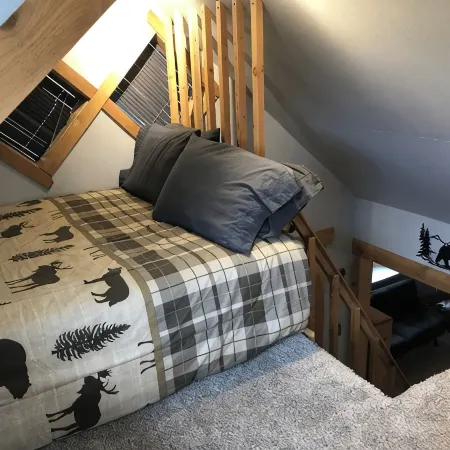 Authentic Alaskan cabin experience near the heart of Denali