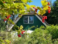 Vrijstaande Rietgedekte 4-persoons Vakantie Villa met Grote Prive Tuin Hotels in Heeten