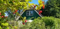 Vrijstaande Rietgedekte 4-persoons Vakantie Villa met Grote Prive Tuin - 2-Star