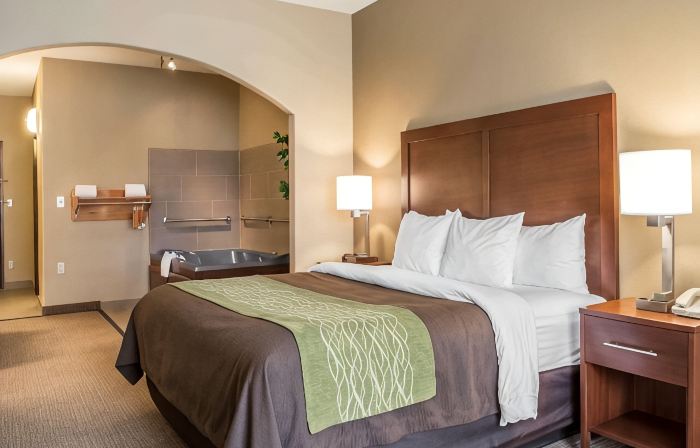 Comfort Inn Edinburg South