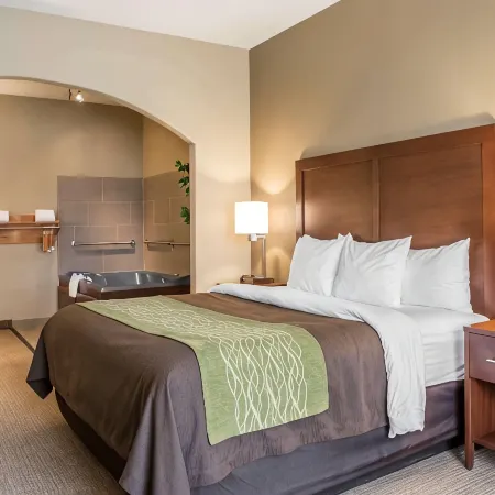 Comfort Inn Edinburg South