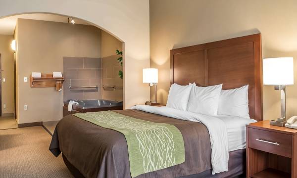 Comfort Inn Edinburg South